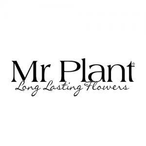 Mr Plant